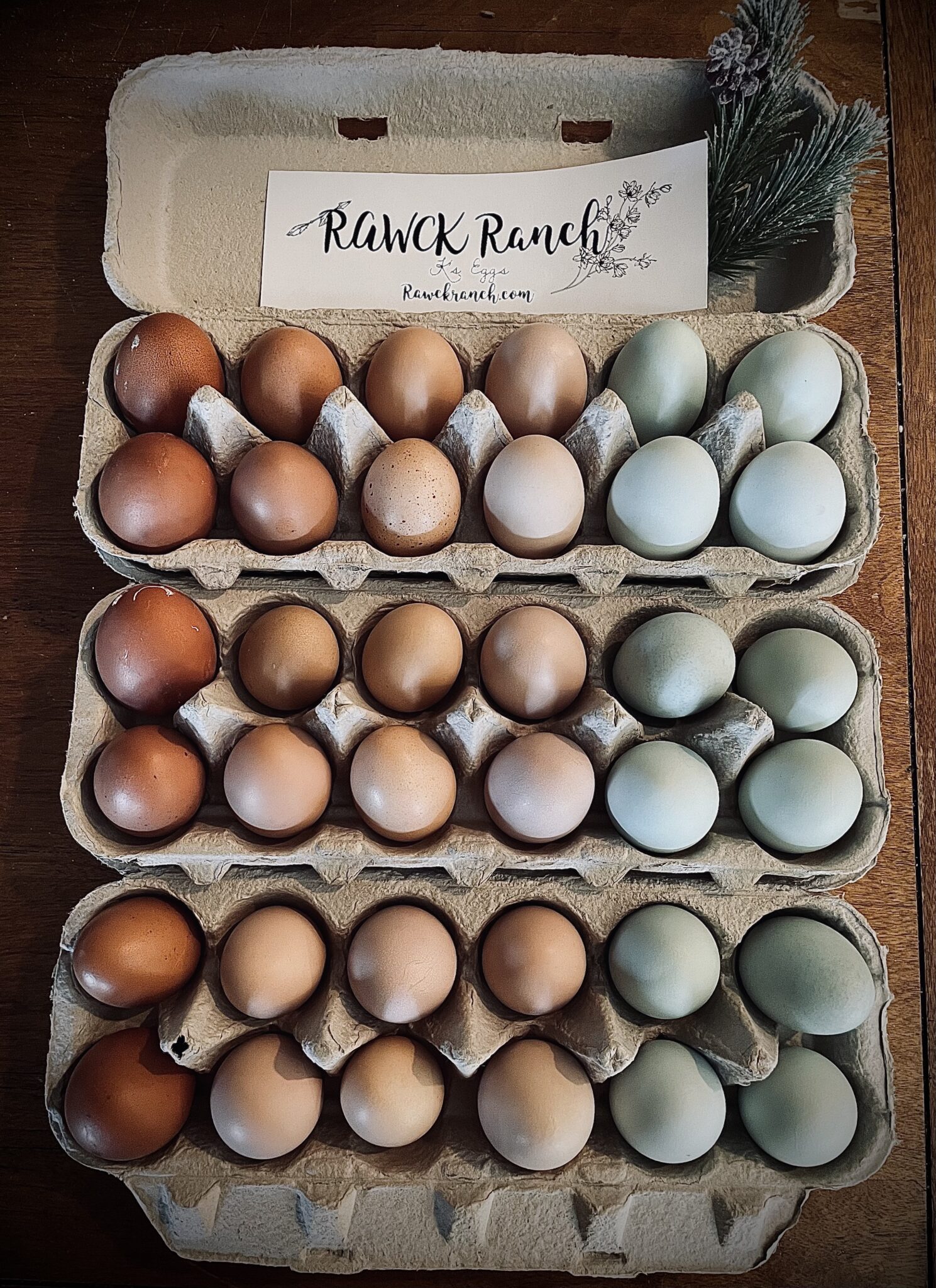 K’s Eggs - rawckranch.com